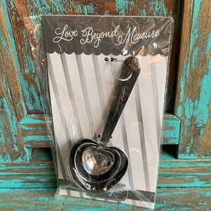Kate Aspen Fashion Craft Love Beyond Measure Heart Metal Measuring Spoons